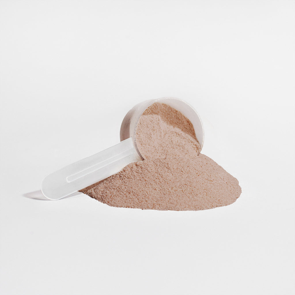 Captain Garuda Plant Protein Powder — Chocolate | 833g (30 Servings)